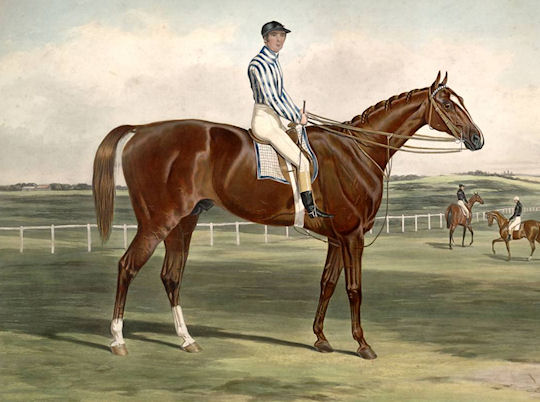 St Leger Winners: St Leger Winner 1852: Stockwell